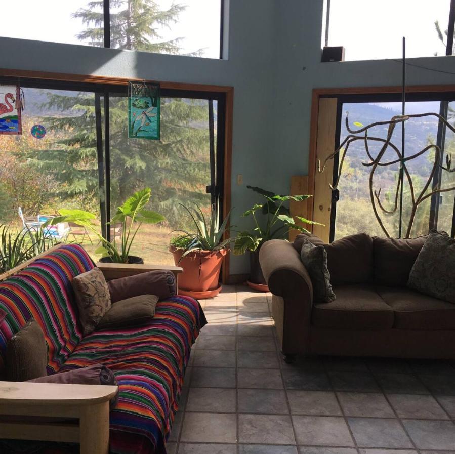 Sequoia Forest Retreat Badger Экстерьер фото