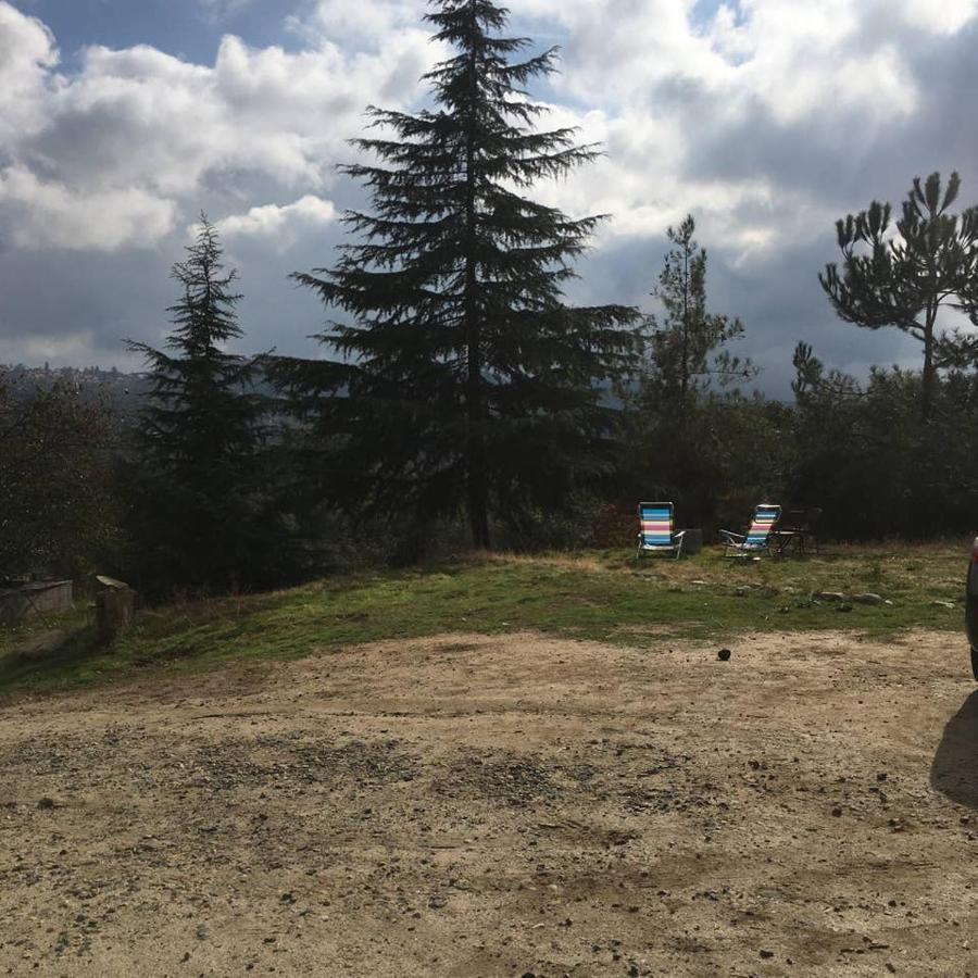 Sequoia Forest Retreat Badger Экстерьер фото